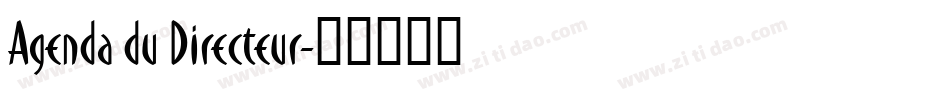 Agenda du Directeur字体转换
